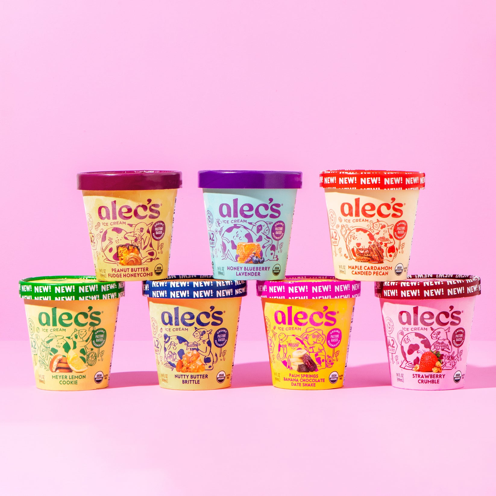 Fruit & Nuts Collection – Alec's Ice Cream