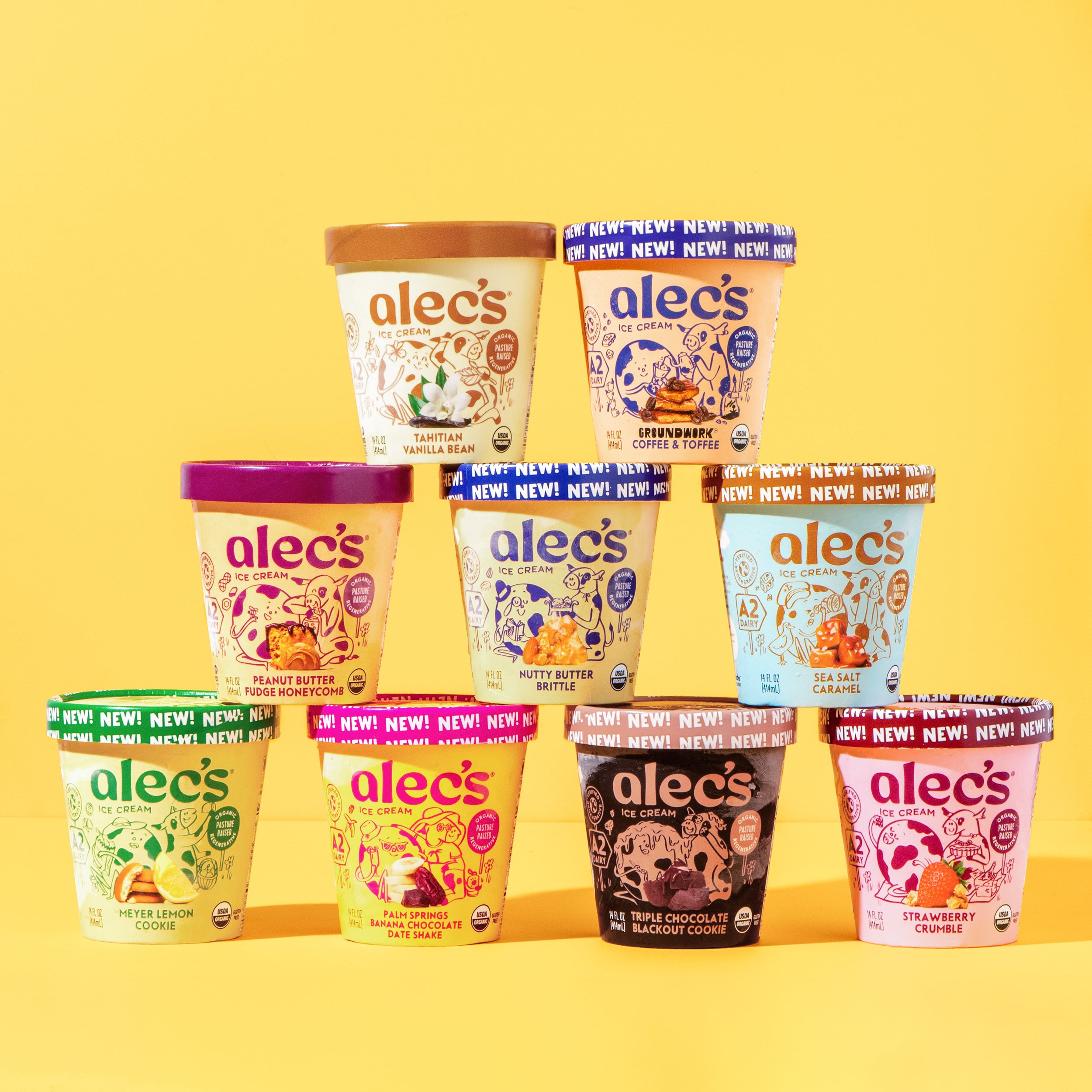 Gift of Ice Cream Collection – Alec's Ice Cream